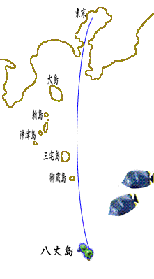 ����-���䓇